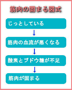 筋肉の固まる図式