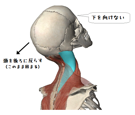 下を向けない（図解）