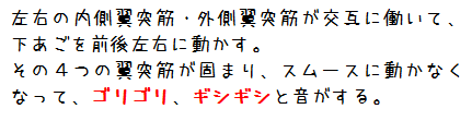 あごゴリゴリの解説