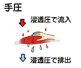 手圧の逆浸透圧(図解)
