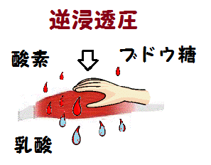 手圧の逆浸透圧(図解)