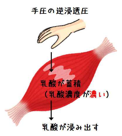 手圧の逆浸透圧(図解)