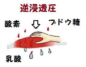 逆浸透圧(図解)