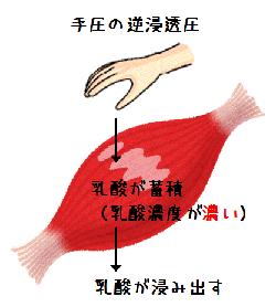 手圧の逆浸透圧(図解1)