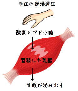 手圧の逆浸透圧(図解)